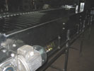 Fruit Inspection Conveyor